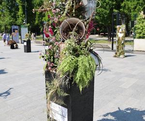 Weekend z florystyką w Lublinie. Zobacz imponujące roślinne instalacje w centrum miasta!