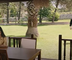 Wichrowe wzgórze, odcinek 205