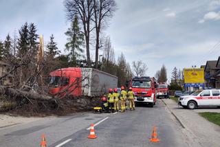 Nowy Sącz. Ciężarówka uderzyła w drzewo i zwaliła je na prywatną posesję. Jedna osoba poszkodowana