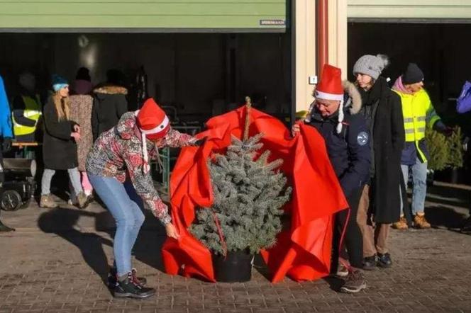 Wypożycz drzewko na święta. Wesprzyj potrzebujące zwierzęta