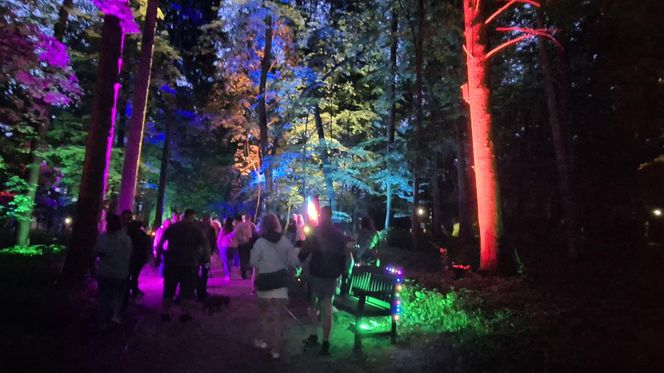 Olsztyn zamienił się w magiczną krainę. Park Świateł przyciągnął tłumy!