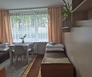 Pomoc dla osób ze związków przemocowych.