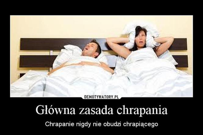 Chrapanie - MEMY