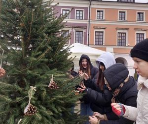  Zamojskie przedszkola i szkoły dekorowały choinki