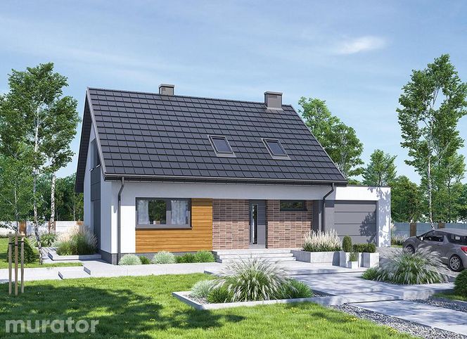 Projekty domów: małe i duże domy