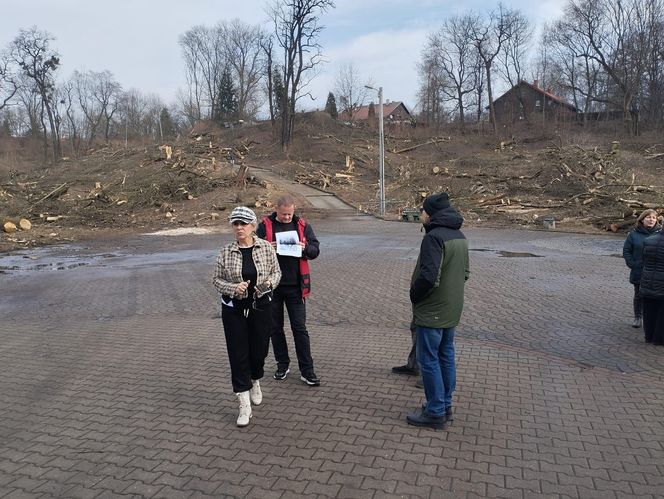 Kontrowersyjna wycinka drzew pod trasę N-Ś w Rudzie Śląskiej. Mieszkańcy: "to jest fałszerstwo na duża skalę, to skandal"