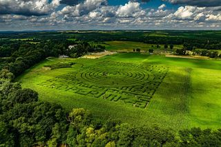 Kurozwęki 2025. Otwarcie wyjątkowego labiryntu 