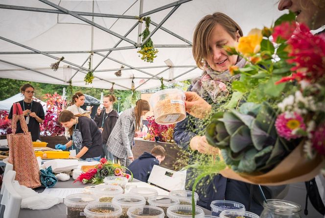 Wielki piknik kwietny finał 41. edycji konkursu „Warszawa w kwiatach”  