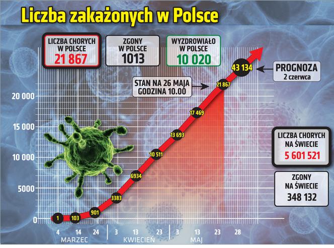 Koronawirus w Polsce. Zobacz wykresy – stan na 26.05.2020, godz. 10:00