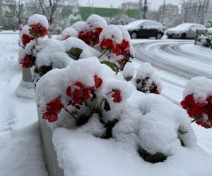 Śnieżny armagedon w Warszawie. Pierwszy atak zimy sparaliżował stolicę. Ogłoszono akcję ALFA