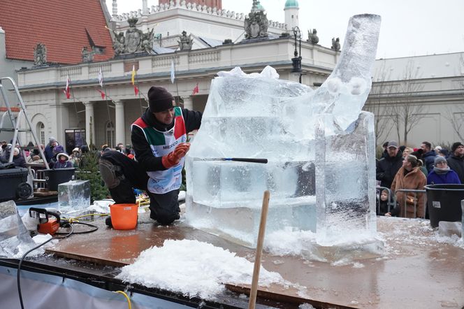 Poznań Ice Festival 2024 