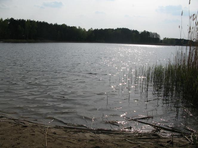 Jeziora w Toruniu i okolicach. Tutaj możesz odpocząć nad wodą