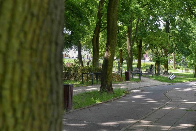  To on zaatakował kobietę w Parku Glazja