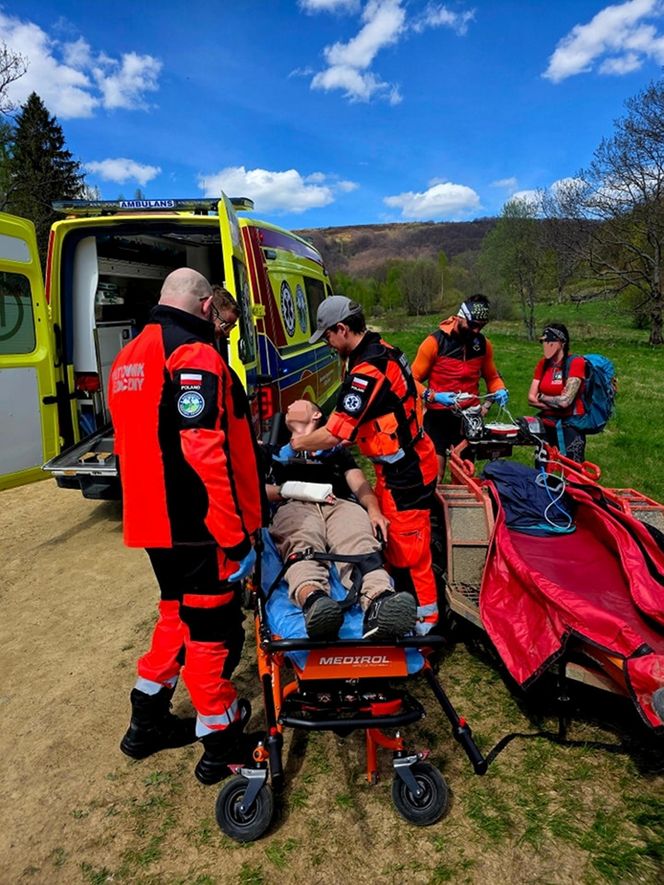 Turysta ukąszony przez żmiję.