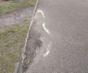 Żółty pył na ulicach Tarnowa. Czy jest groźny dla zdrowia?