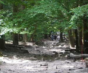 Gołoborza na Łysicy