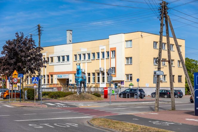 Pomnik Kobyły Niepodległości w Kobyłce