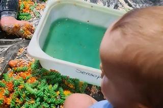 Dominika Gwit tak mieszka z dzieckiem