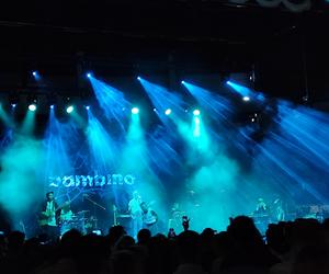 One Night Festival w Radomiu