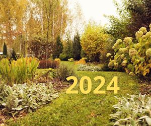 Jesień 2024 - kiedy zaczyna się jesień kalendarzowa? Jak wygląda jesień w ogrodzie?