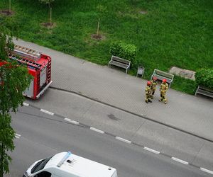 W jednym z mieszkań na osiedlu Tysiąclecia znaleziono pocisk