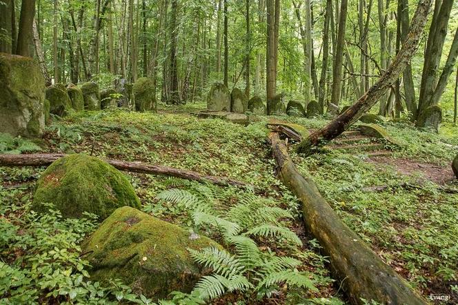 Pseudomegalityczny cmentarz Dohnów na Mazurach [GALERIA]