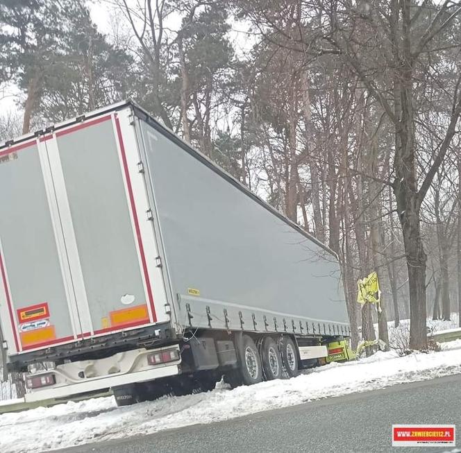 Zawiercie: Ciężarówka wjechała na "spacer" do parku miejskiego. Są utrudnienia