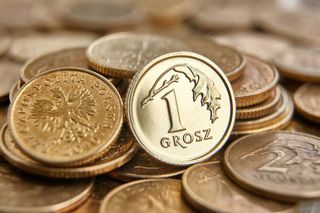 Nie tylko piątek trzynastego. Najdziwniejsze polskie przesądy