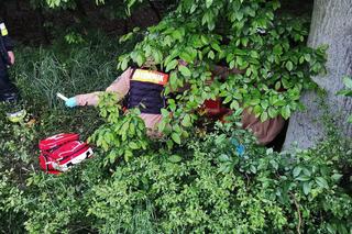 Pan Władysław zgubił się i nie potrafił wrócić do domu! Do końca czuwał przy nim jego piesek [ZDJĘCIA]