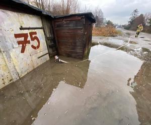 Trudne dni dla mieszkańców i mieszkanek Za Cukrownią w Lublinie