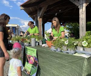 Eska Summer City Olsztyn na 10. edycji Festiwalu Koloryt cz.2