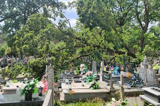 Burze nad województwem łódzkim. Strażacy interweniowali blisko 240 razy