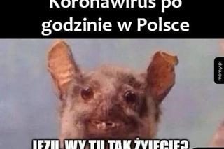 Koronawirus dotarł do Polski. Jest pierwszy przypadek. Zobacz najlepsze memy