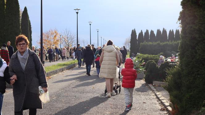 Oprócz znicza można było kupić kebaba. Tłumy przy cmentarzy na lubelskim Majdanku. Zobaczcie!