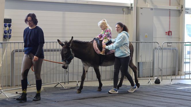 Tak wyglądał Zoopark 2024 w Lublinie! Zobacz zdjęcia