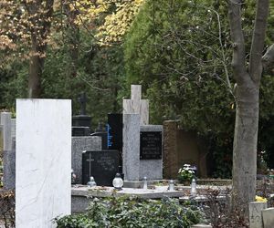 Tak wyglądają groby Zapasiewicza, Tyma, Kołaczkowskiej, Stoparczyk