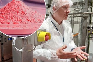 W Lidzbarku Warmińskim będą produkować różowe złoto. To zupełna nowość w Polsce