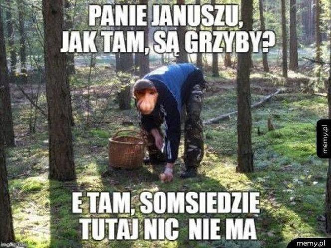 Trwa sezon na grzyby! Oto najlepsze memy o grzybiarzach!