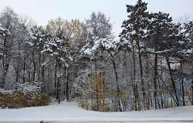 Atak zimy w Polsce. Zasypane miasta na Waszych zdjęciach