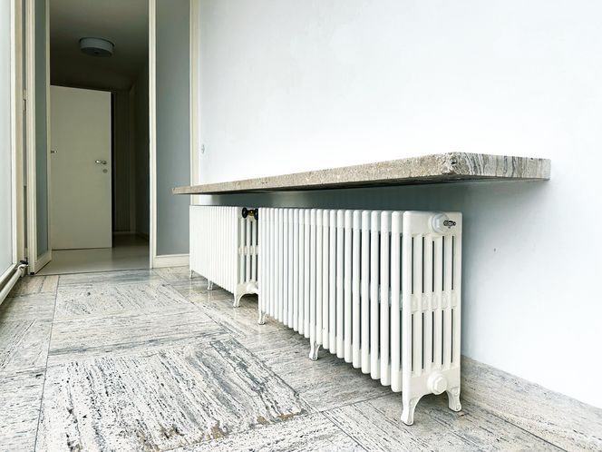 Willa Tugendhatów w Brnie