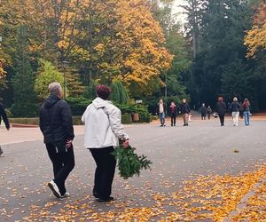 Przygotowania do 1 listopada na Cmentarzu Centralnym w Szczecinie