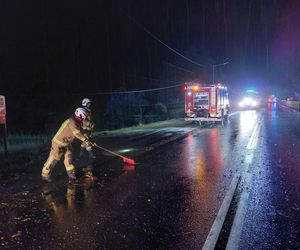 W Samborcu konar drzewa spadł na samochód. Jedna osoba ranna