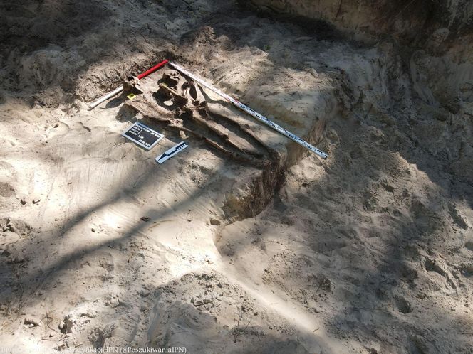 Szczątki co najmniej 18 osób na terenie jednostki wojskowej w Rembertowie. Wiadomo, kim mogą być ofiary