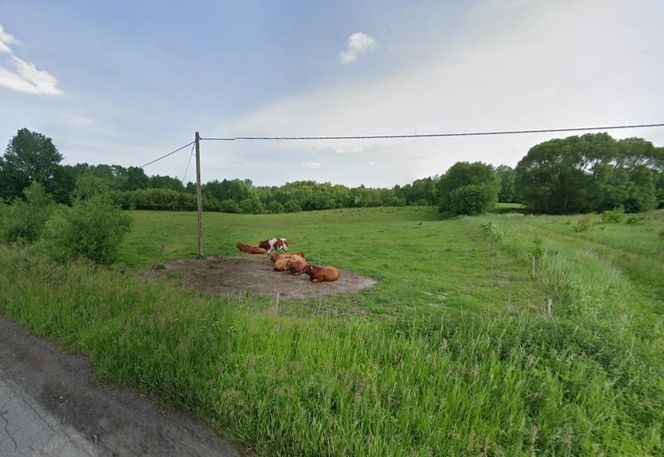 Nie tylko Lidzbark Warmiński. Te dwie miejscowości też staną się uzdrowiskiem