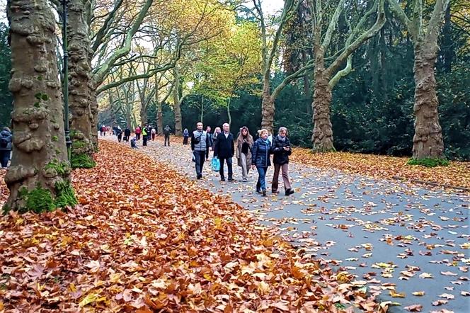 Dzień Wszystkich Świętych na Cmentarzu Centralnym w Szczecinie