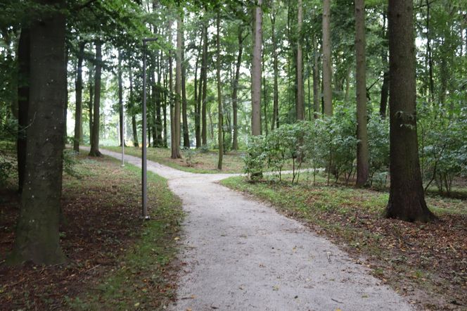 Zabytkowy park pod Lubawą zmienił się nie do poznania. Teraz wygląda jak z bajki