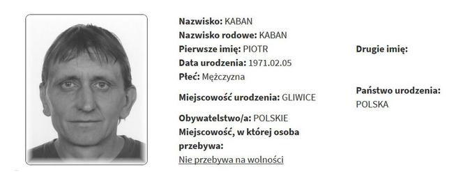 Rejestr Przestępców Seksualnych z województwa śląskiego [ZDJĘCIA]