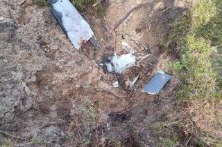 Pocisk znaleziony w lesie pod Bydgoszczą