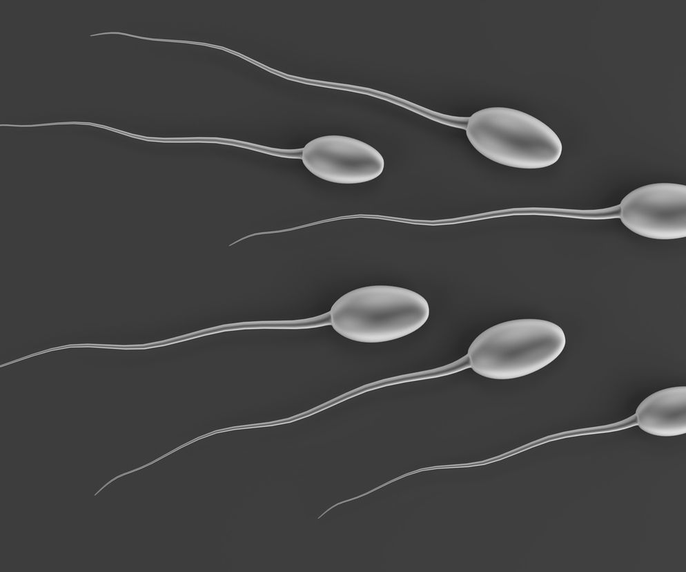 Seminogram, czyli badanie nasienia