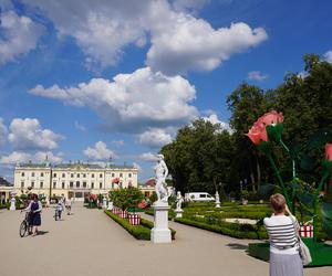 Nowa instalacja artystyczna przy Pałacu Branikich w Białymstoku